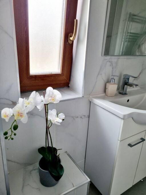 Cozy Apartment Near City Center بوخارست المظهر الخارجي الصورة